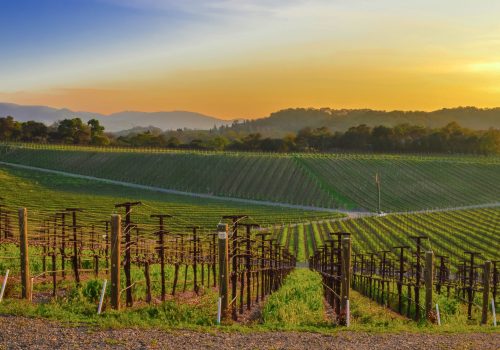 Charter Flights from New York to Napa