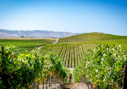 Charter Flights from New York to Napa