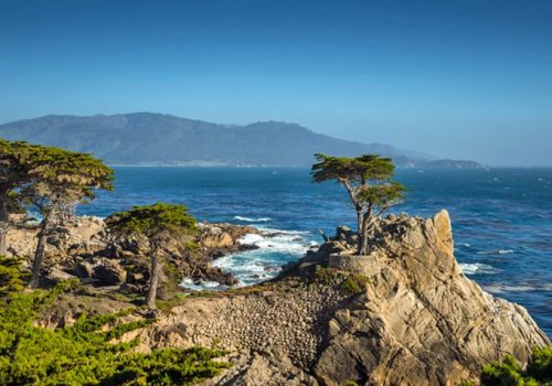 Charter a Private Jet from LA to Monterey