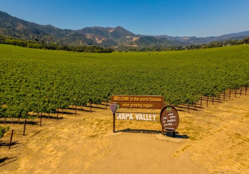 Field,Of,Grape,Vines,And,Sign,For,Wine,Of,Napa